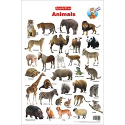 Animals Chart