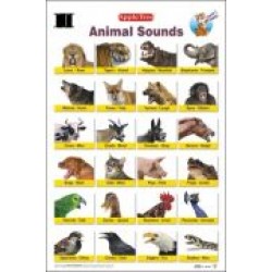 Animal Sounds