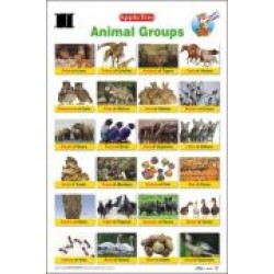 Animal Groups