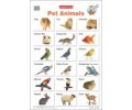 Pet Animals