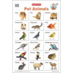 Pet Animals