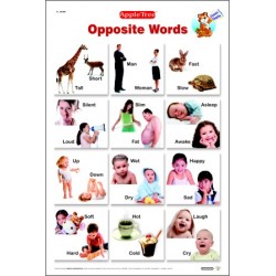 Opposite Words - Chart