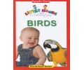 Birds - Pre School Series